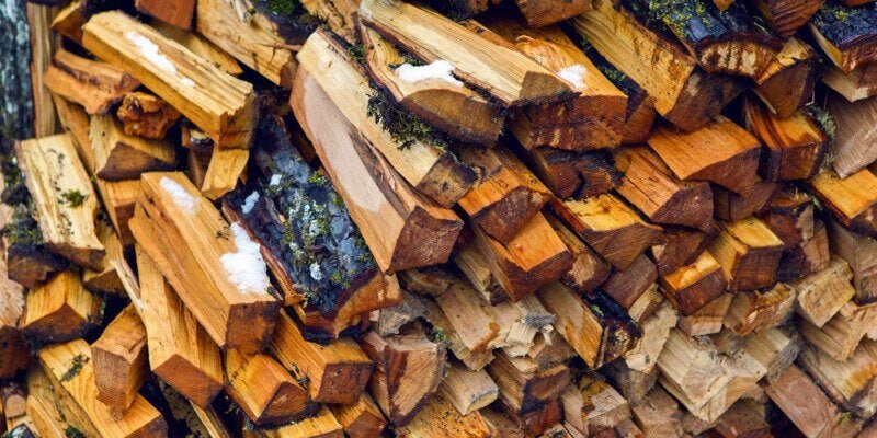 The Difference Between Hardwood and Softwood for Burning